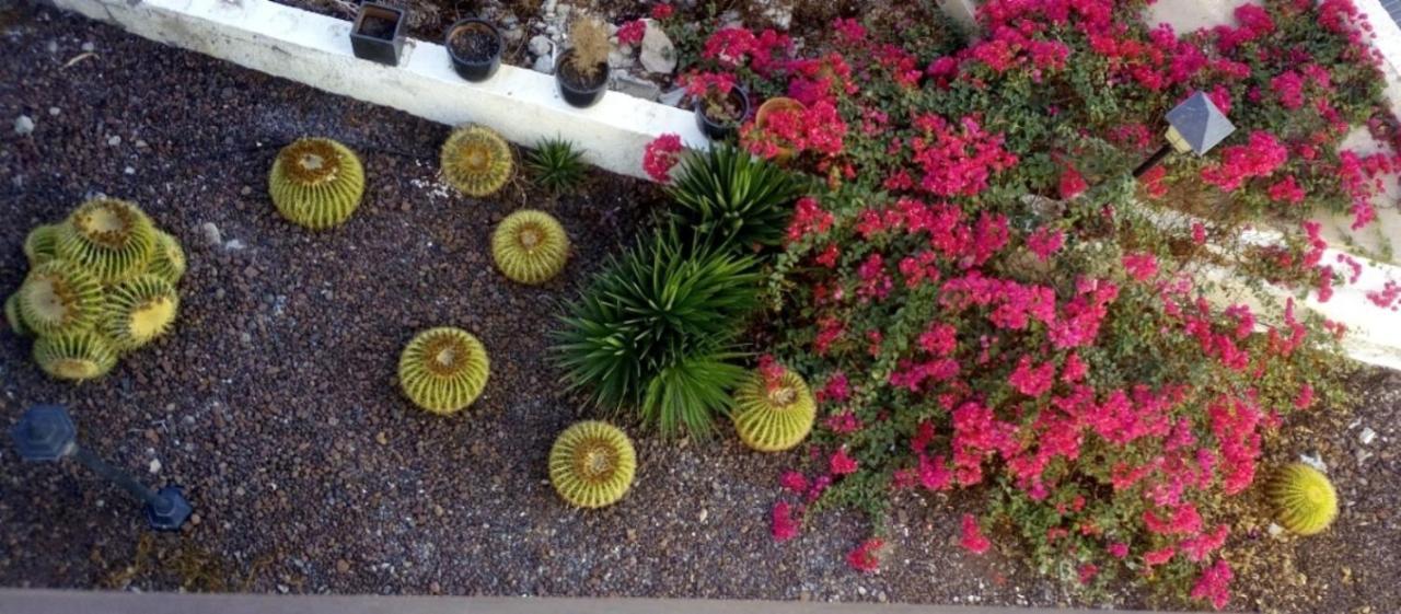 Beautiful 2 Bedroom Apartment Near Puerto Rico Beach Mogán 外观 照片